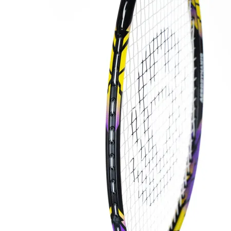 Ракетка бадм. TORRES Carbon PRO6, BD20521,для продв., стерж/обод из карбона,со струнами, фиол за 4&nbsp;477.80 ₽ купить в Казани
