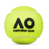 Мяч теннисный Dunlop Australian Open, 601601, уп..3 шт, одобр.ITF,фетр,нат.резина, желтый за 1&nbsp;171.30 ₽ купить в Казани