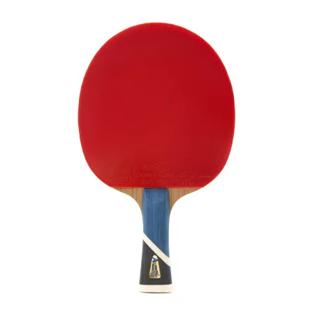 Ракетка для н/т DOUBLE FISH 5A+C, для продвин, ITTF Appr, накл. 2,1 мм, конич. ручка+ 2 мяча V40+мм за 2&nbsp;779.50 ₽ купить в Казани