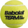 Мяч теннисный BABOLAT Team All Court,502081, уп.4 шт,одобр.ITF, сукно, нат.резина,желтый за 2&nbsp;385.10 ₽ купить в Казани