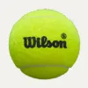 Мяч для падела Wilson Premier Padel Speed, WR8908501001, уп.3 шт, FIP Appr.,сукно, нат.резина,желтый за 1&nbsp;235.90 ₽ купить в Казани